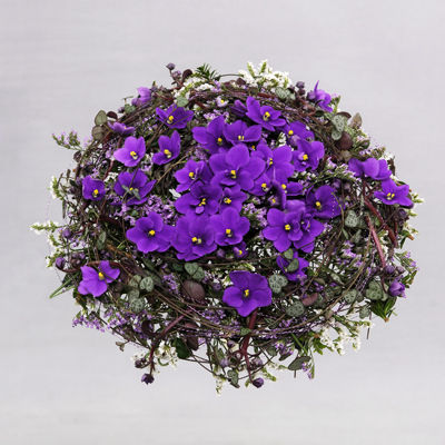 brudebukett_stpaulia_blaa